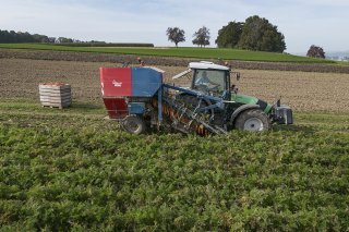 La Suisse a assez de bonnes terres agricoles pour l'instant. Mais la pression sur ces surfaces va s'intensifier (illustration). KEYSTONE/CHRISTIAN BEUTLER